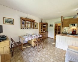 APPA ANEMONE 10 - VALLOUISE LA CASSE . Studio en rez de jardin ( 4 personnes = 2 adultes+ 2 enfants)