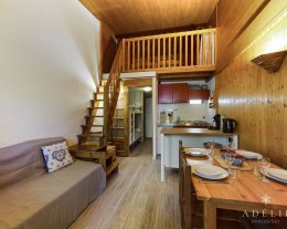 Chaleureux studio mezzanine à 80m des pistes