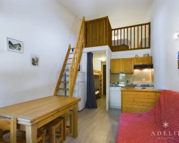 Studio mezzanine rénové au pied des pistes