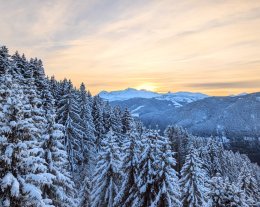 4 pièces duplex (6 couchages adulte + 1 lit d'appoint enfant) - LES SAISIES / Bisanne 1500- Résidence MGM "Les Alpages de Bisanne"/Piscine chauffée/pied des pistes. - Ref: A14 