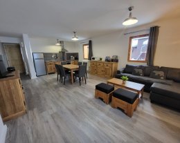 60m2 avec terrasse/10m pistes ski/150m piscine