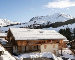 Appartement complet sur deux étages avec sauna et cheminée