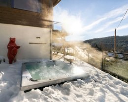 Refuge d'exception avec jacuzzi, sauna et magnifique vue