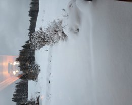 Chalet Appartement Bois Joli