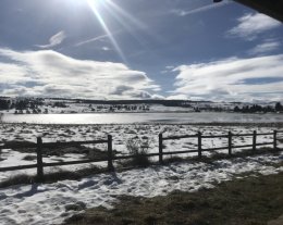 Les Marmottes (Appartement en vallée)