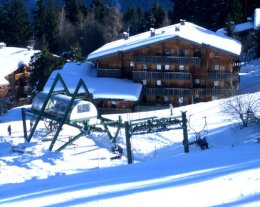 LE BETTEX / CHALETS DE PIERRE PLATE sur les pistes 