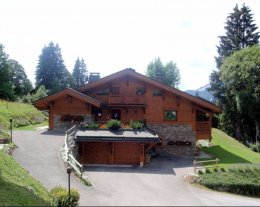  Edelweiss -Megève - ALPES