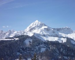 Chalet D, les Petits Tétras