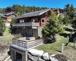  Chalet de charme à 500 m des pistes 