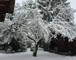 Châlet " Aster " : douillet et  spacieux 120m2 et grand jardin